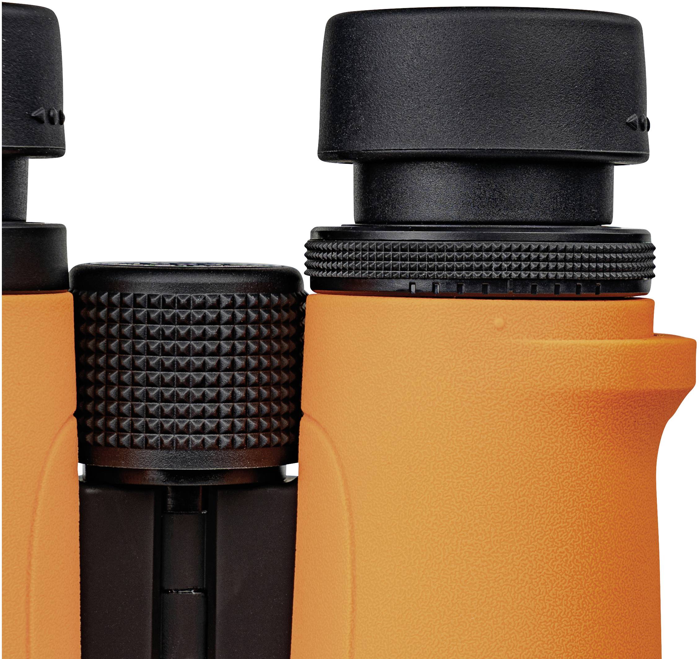 DÖRR Fernglas Signal XP 8 x 42 mm Dachkant Orange 533445