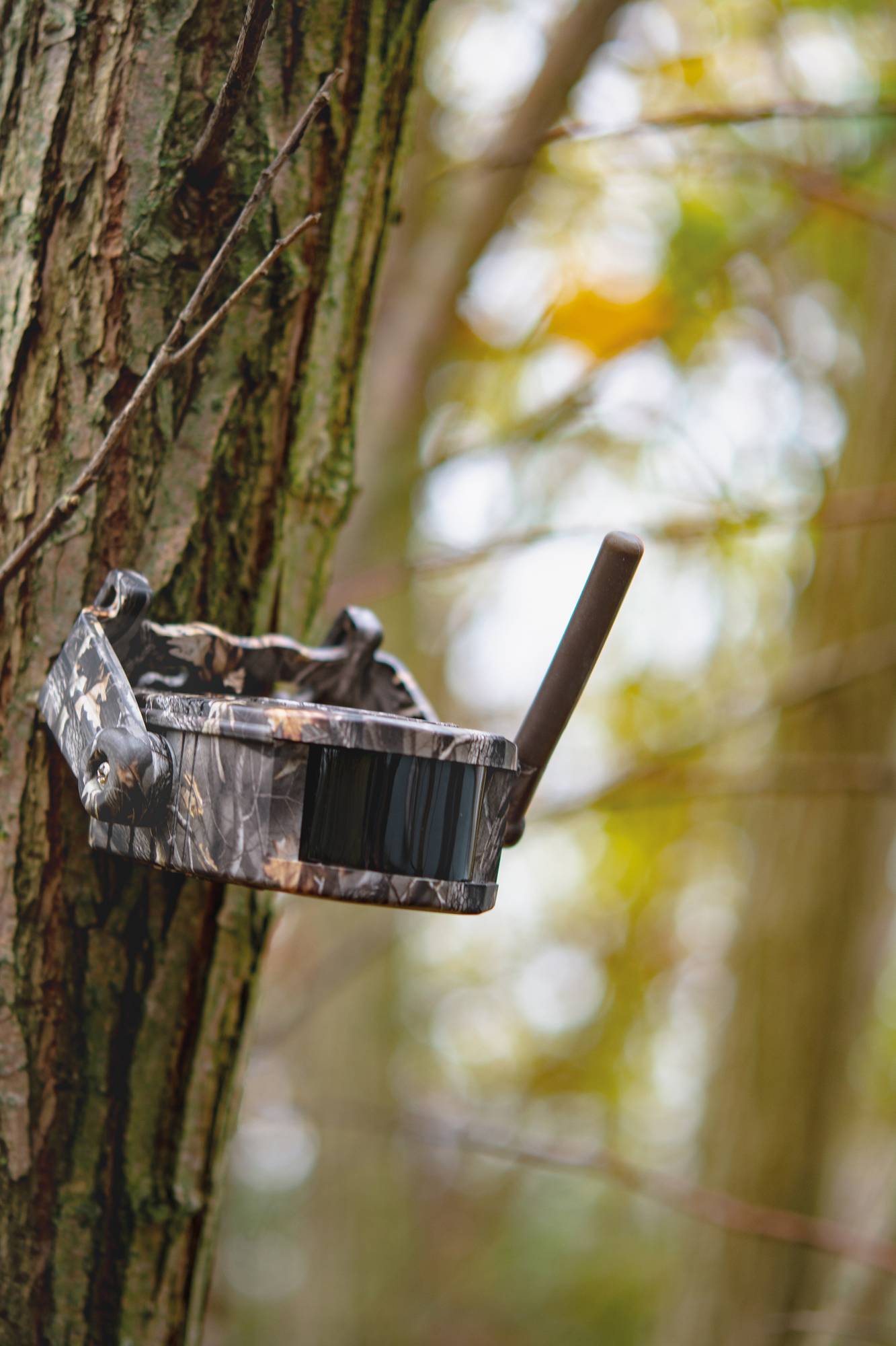 DÖRR HA-300 204802 Bewegungsmelder-Set