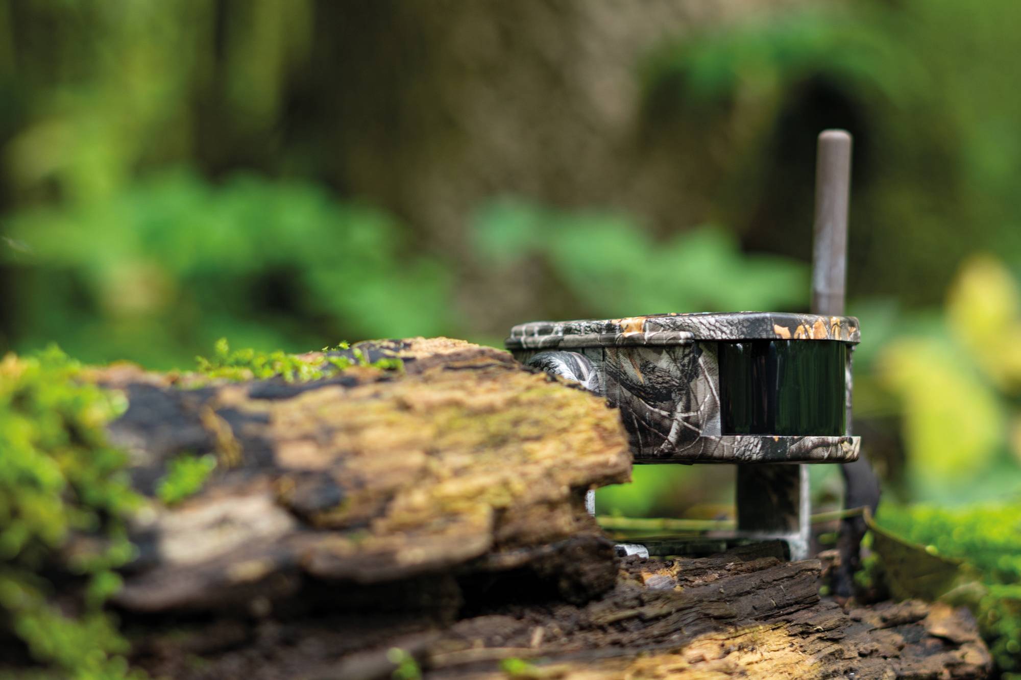 DÖRR HA-300S 3 204803-A Bewegungsmelder-Sender