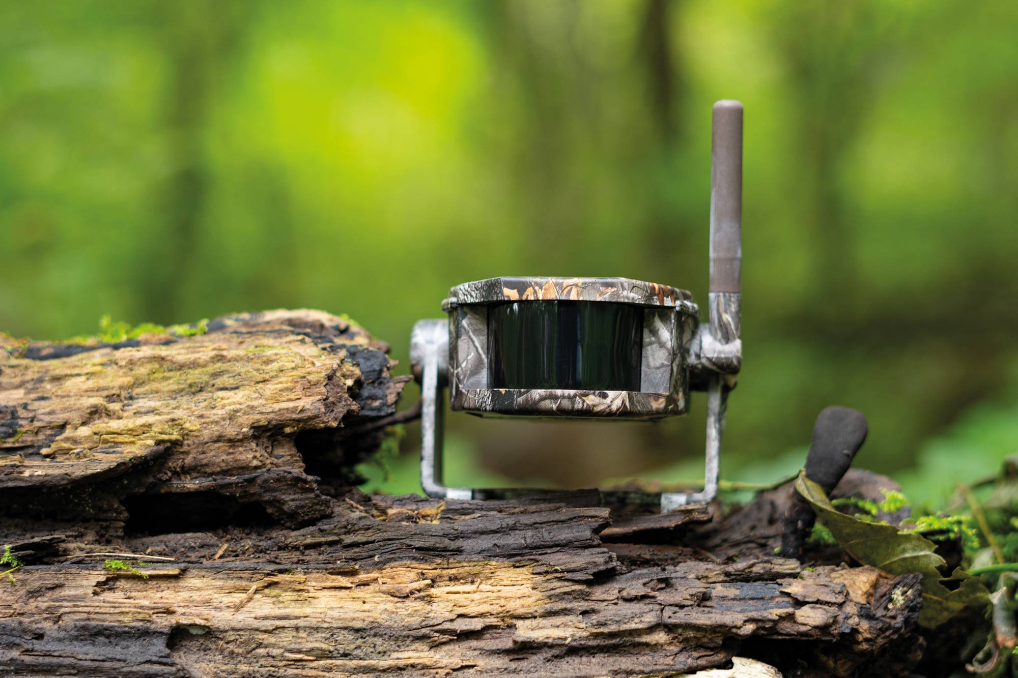 DÖRR HA-300S 3 204803-A Bewegungsmelder-Sender