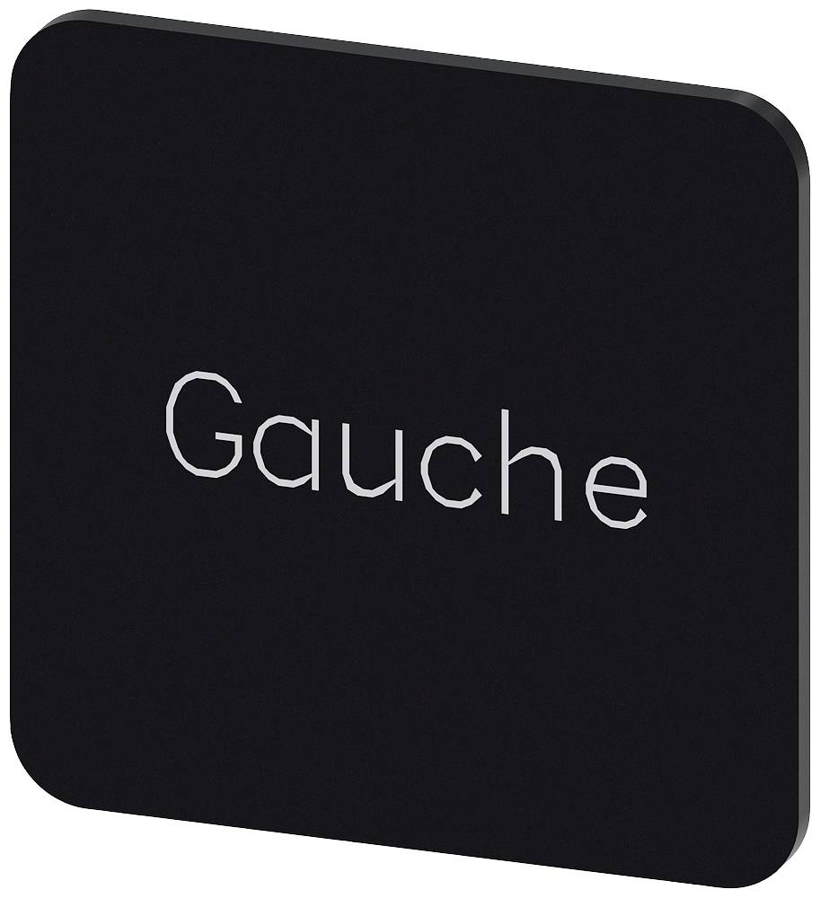 Schwarzes, quadratisches Schild mit abgerundeten Ecken. Der Text 'Gauche' ist in weißer Schrift in der Mitte des Schildes zentriert.