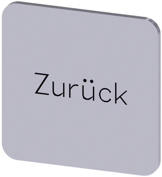 Ein grauer Knopf mit der Aufschrift 'Zurück', wahrscheinlich für die Navigation zum vorherigen Schritt oder Seite.