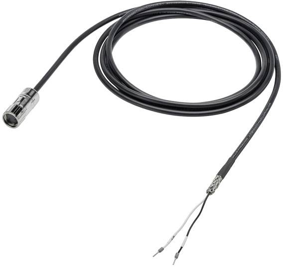 Langes schwarzes Kabel mit einem Metallstecker auf einer Seite und zwei ungeschützten Drähten auf der anderen Seite.