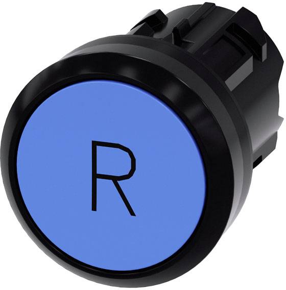 Schwarzer Knopf mit blauem Hintergrund und einem schwarzen 'R' darauf.