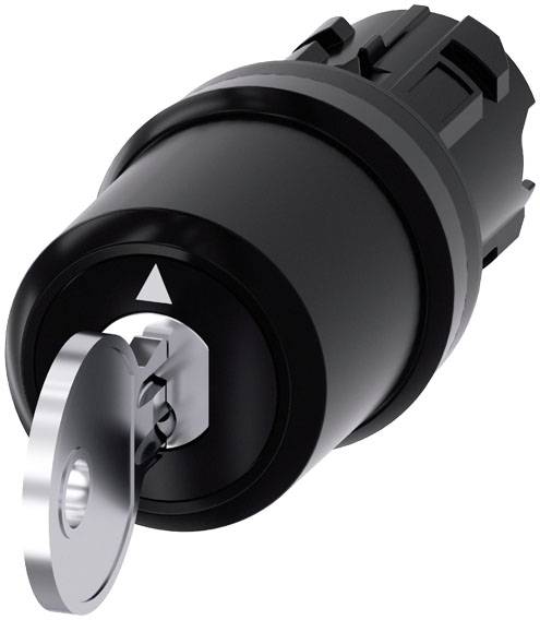 Schwarzes Rundschloss mit eingesetztem silbernem Schlüssel, zeigt ein geöffnetes oder gesichertes Objekt an.