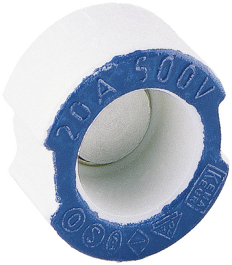 Ein zylindrischer Sicherungseinsatz mit blauer Kennzeichnung '20A 500V'.