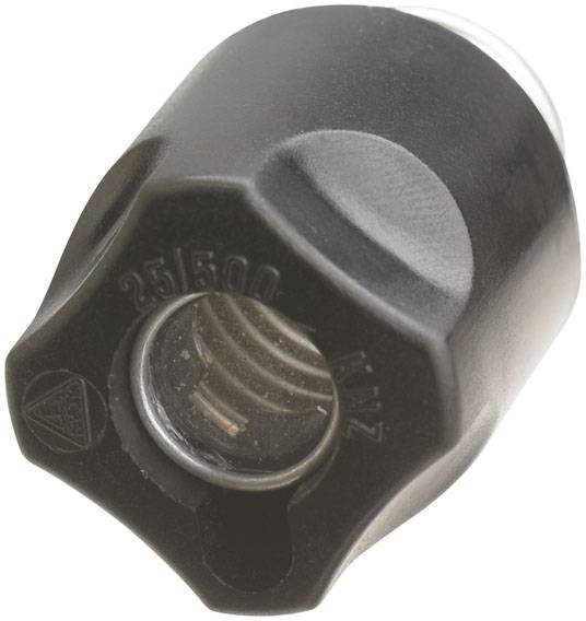 Ein schwarzer, zylindrischer Sicherheitsschalter mit transparentem Gehäuse, das einen Metallschlüssel-Schlitz zeigt.