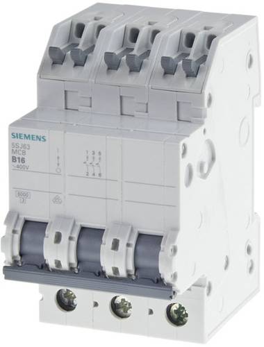 Siemens 5SJ63106KS 5SJ6310-6KS Leitungsschutzschalter 10 A