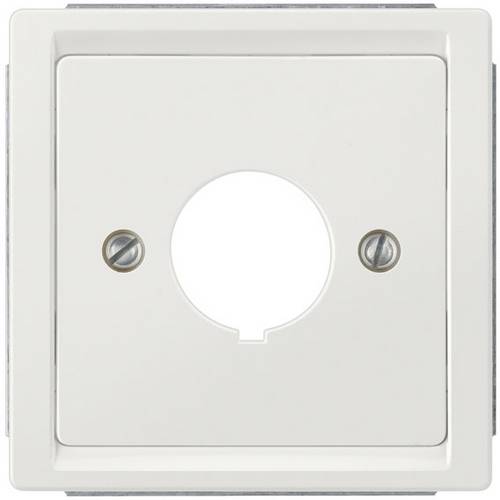 Siemens Schalterprogramm Abdeckung DELTA style Platin 5TG13331 1 St.