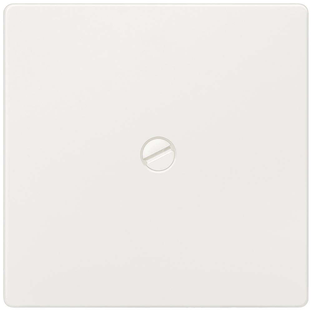 Siemens Schalterprogramm Wippe Delta Weiß 5TG6261 1St.