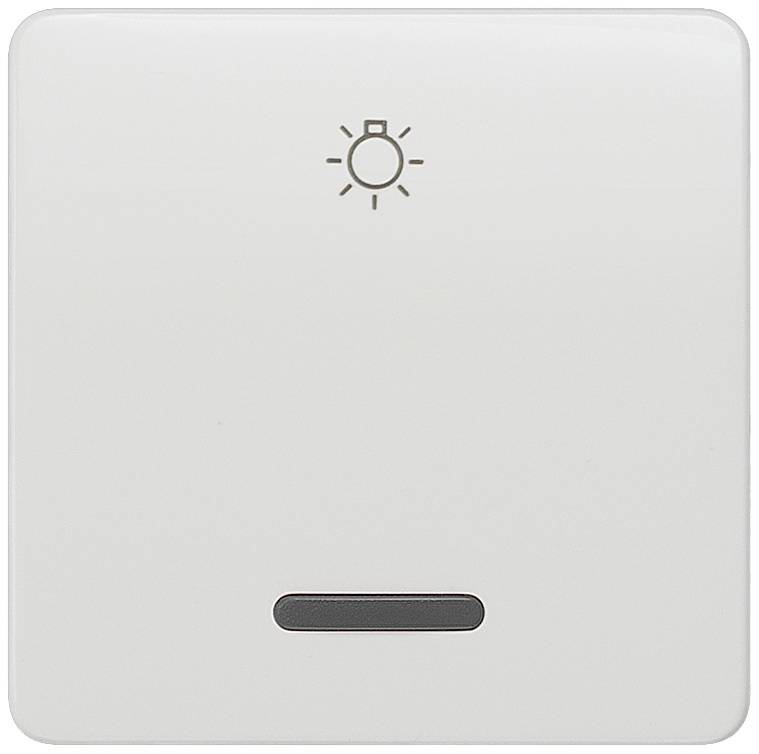 Siemens Schalterprogramm Wippe Delta Weiß 5TG7806 1St.