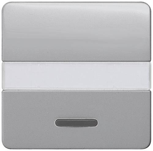 Siemens Schalterprogramm Wippe Delta Silber 5TG7935 1 St.