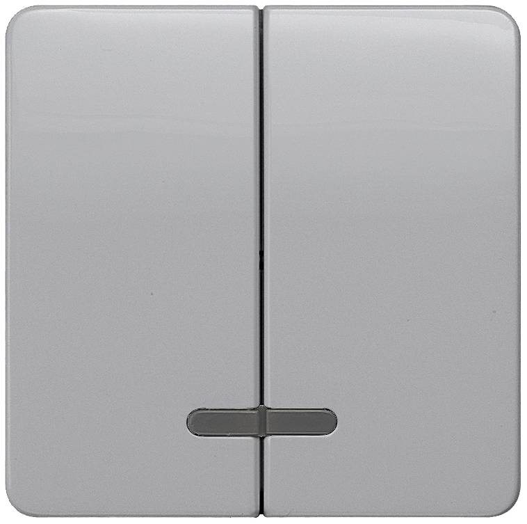 Siemens Schalterprogramm Wippe Delta Silber 5TG7938 1St.