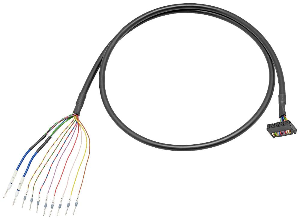 Ein schwarzes Kabel mit einem mehrpoligen Stecker auf der einen Seite und mehreren farbigen, abisolierten Drähten auf der anderen Seite.