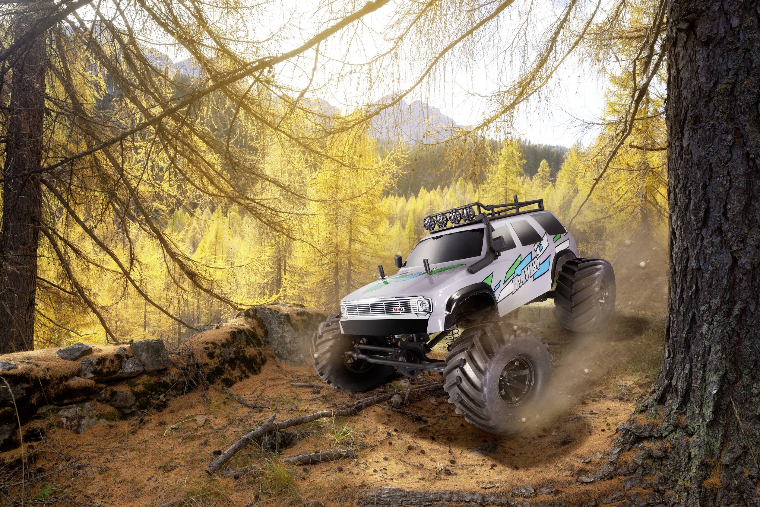 Reely Raven Grau Brushed 1:10 RC Modellauto Elektro Crawler Allradantrieb (4WD) 100% RtR 2,4GHz inkl. Akku, Ladegerät und