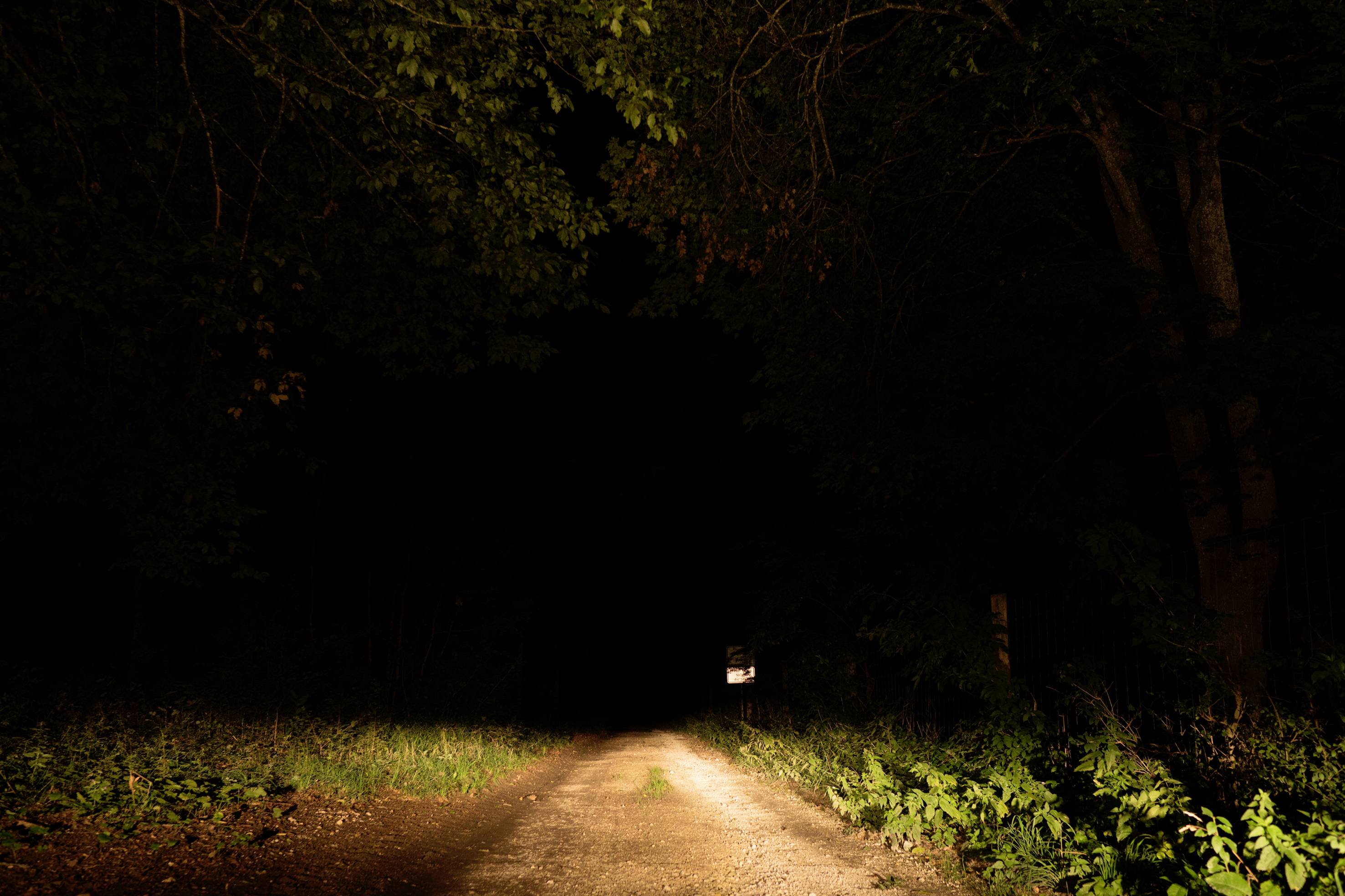 Osram Automotive Rückfahrscheinwerfer 12 V, 24 V LEDriving Reversing VX 120S-WD, quadratischer LED