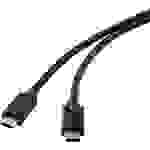 Câble USB Renkforce RF-4531576 USB-C® mâle USB 3.2 Gen2x2 2.00 m noir blindé