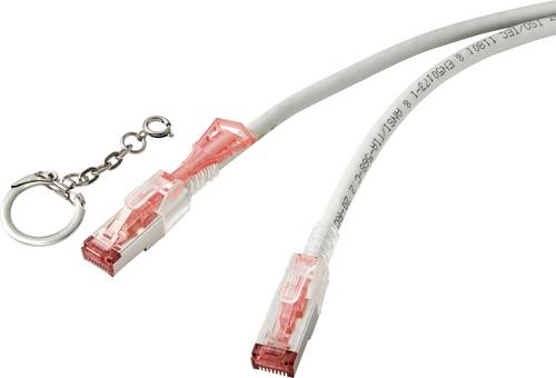 Renkforce RJ45 RF-4533112 Netzwerkkabel, Patchkabel CAT 6a S/FTP 3.00m Grau verriegelbar