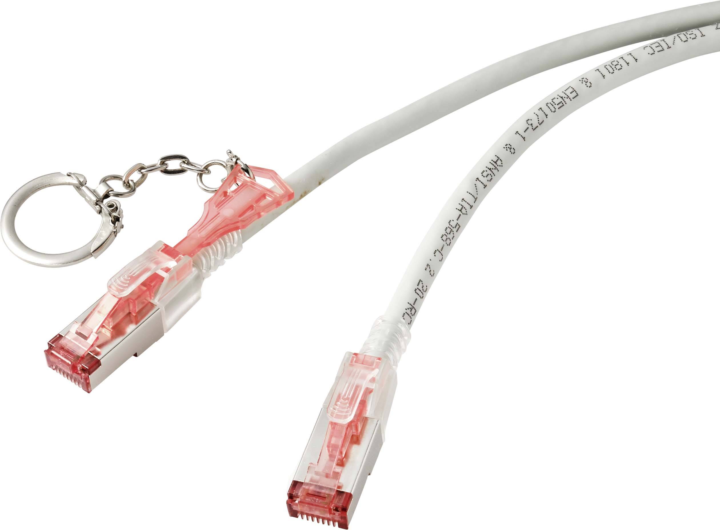 Renkforce RF-4533114 RJ45 Netzwerkkabel, Patchkabel CAT 6a S/FTP 1.00 m Grau verriegelbar 1 St.