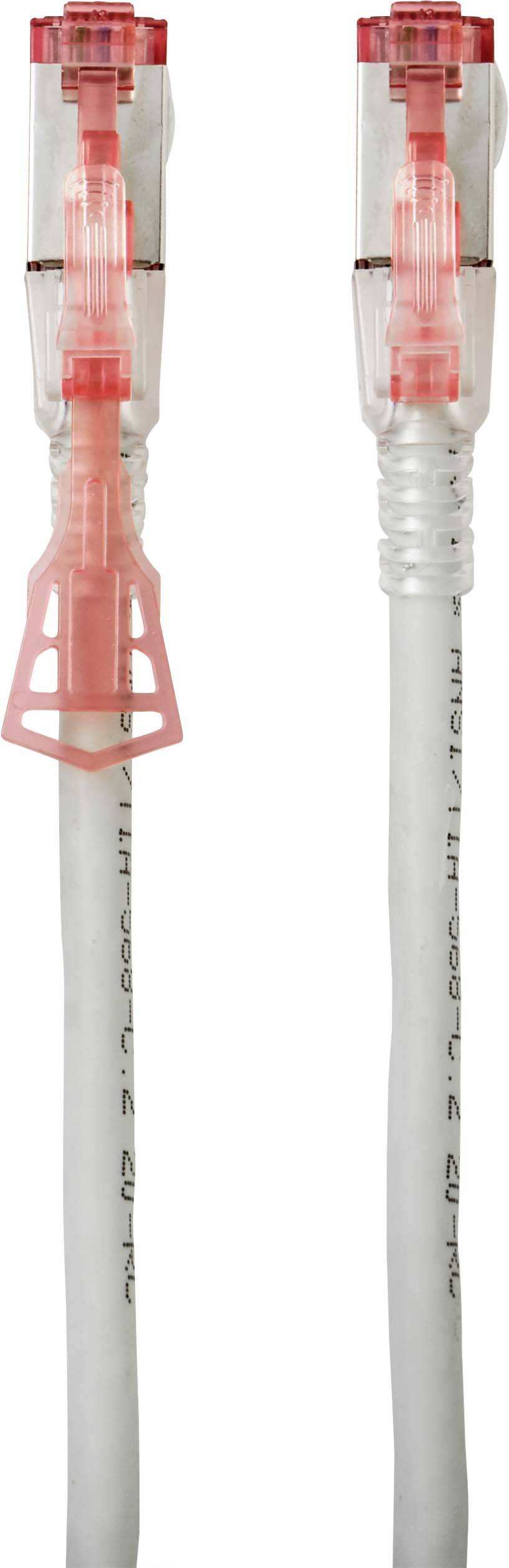 Renkforce RF-4533114 RJ45 Patchkabel CAT 6a S/FTP 1.00 m Grau verriegelbar 1 St.