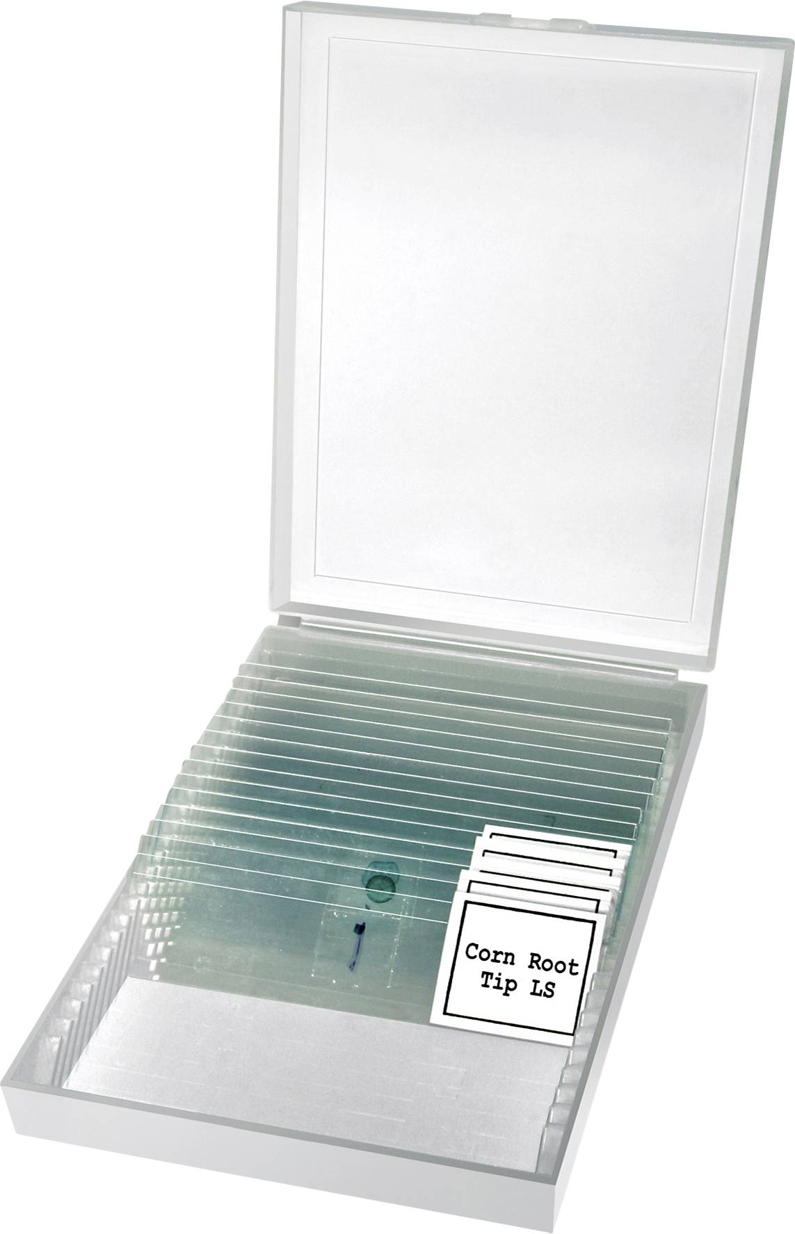 Bresser Optik 5102100 Erudit Basic Mono Durchlichtmikroskop Monokular 400 x Durchlicht