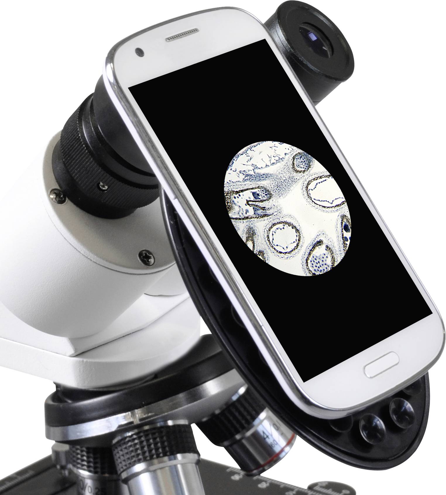 Bresser Optik 5102200 Erudit Basic Bino Durchlichtmikroskop Binokular 400 x Durchlicht