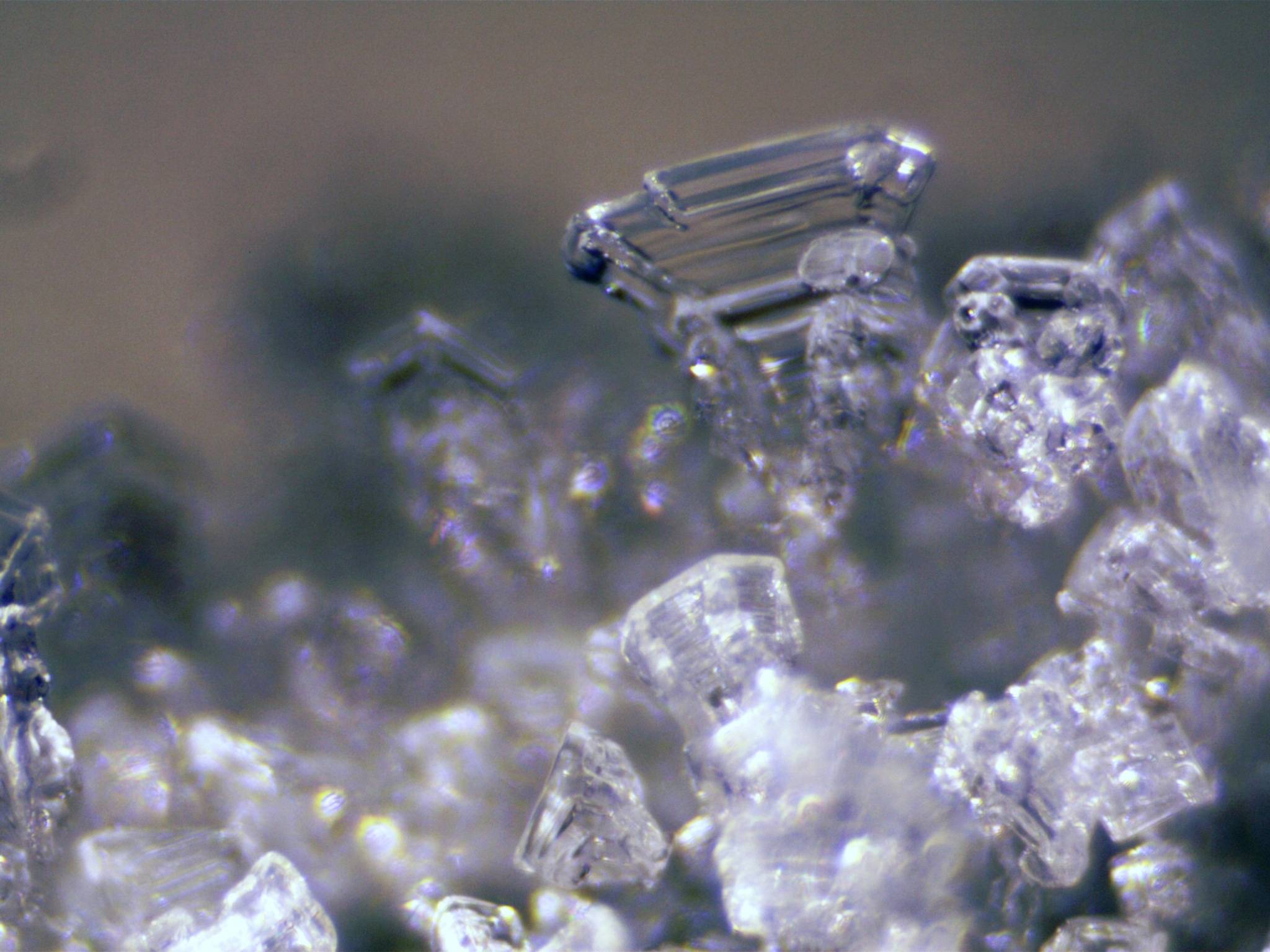 Bresser Optik 5803600 Erudit ICD Stereomikroskop Binokular 40 x Auflicht, Durchlicht