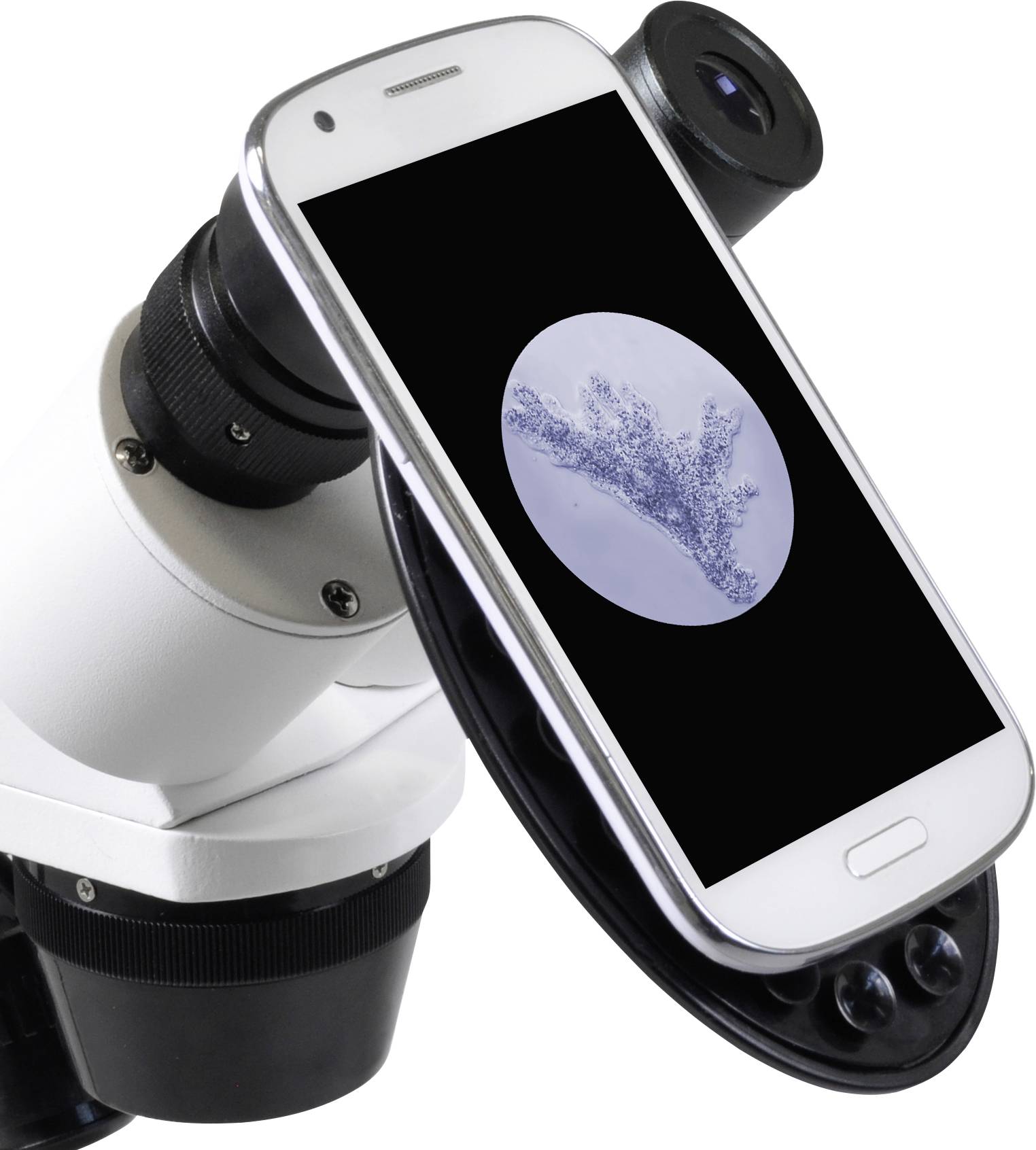 Bresser Optik 5803600 Erudit ICD Stereomikroskop Binokular 40 x Auflicht, Durchlicht