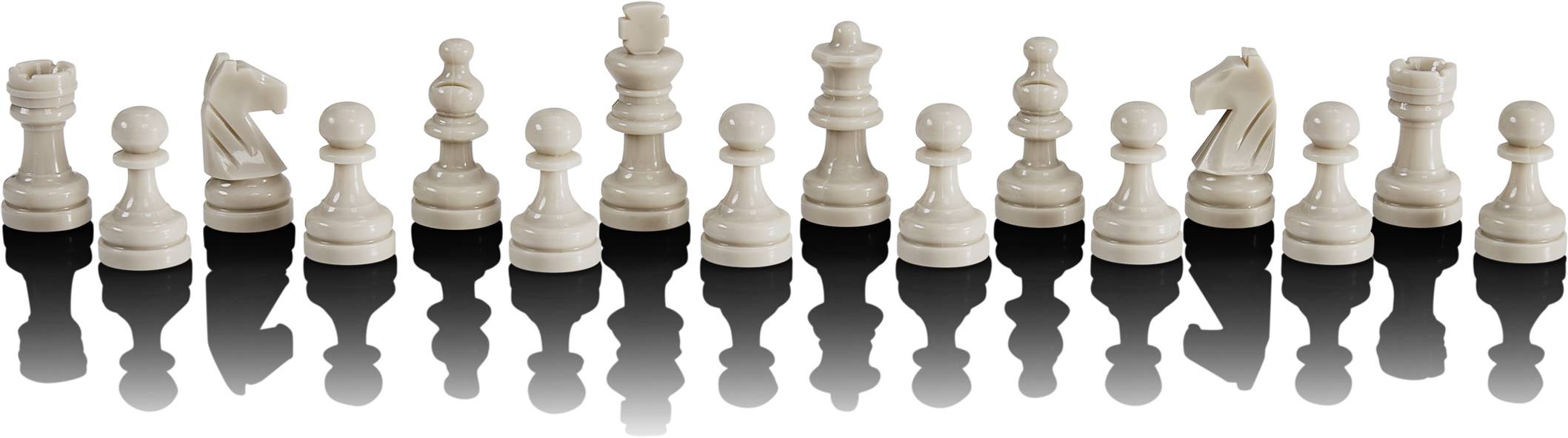 Renkforce Chess Champion powered by Millennium Schachcomputer