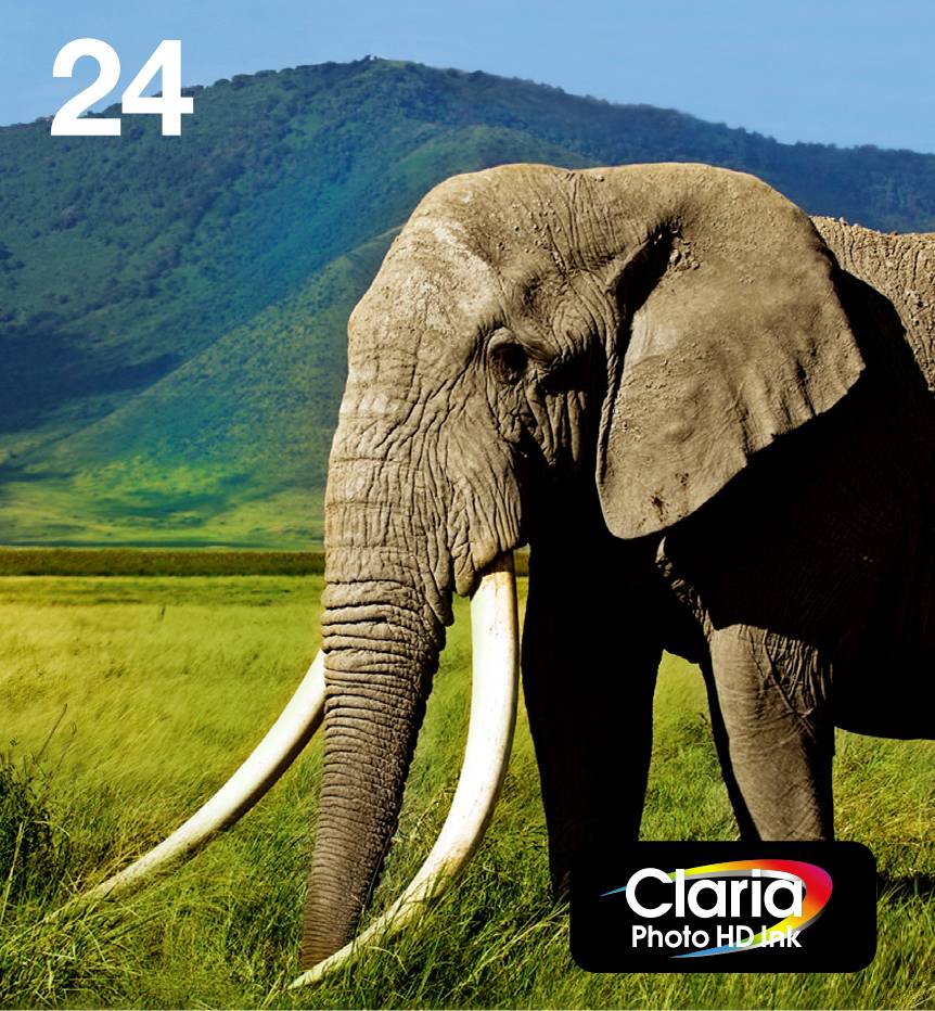 Epson Druckerpatrone T2428, 24 Easy Mail Packaging Original Kombi-Pack Schwarz, Cyan, Magenta, Gelb, Photo Cyan, Photo Magenta C13T24284510