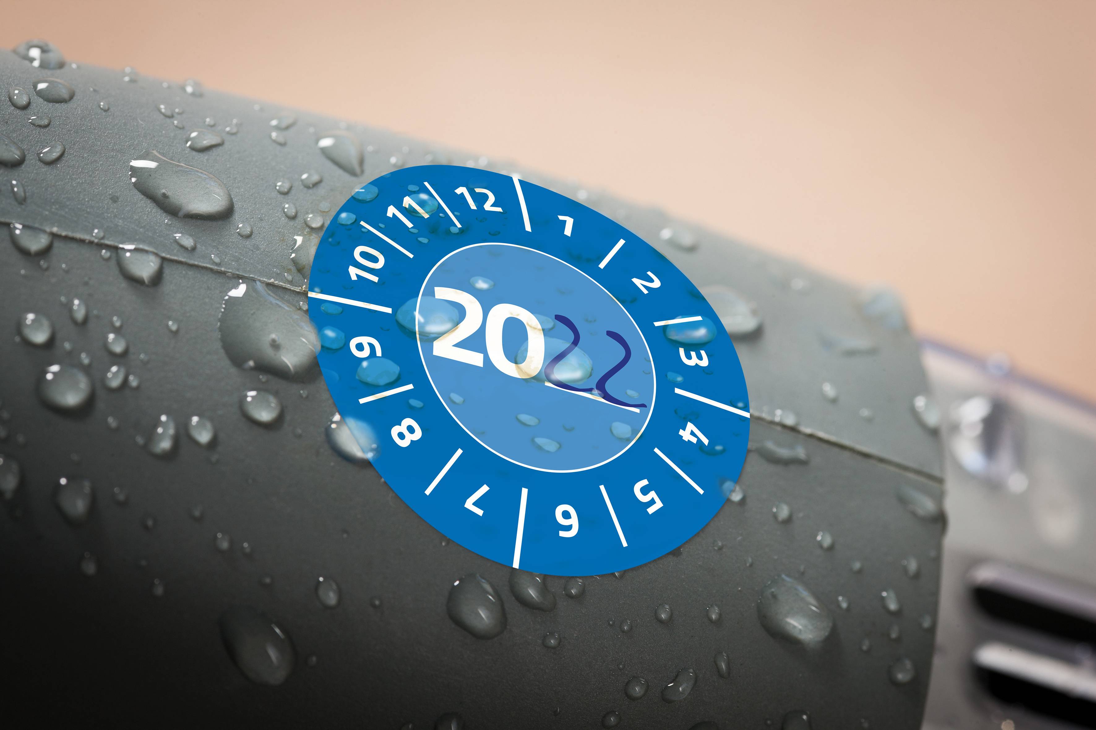 Avery-Zweckform 7903 Prüfplakette 20XX Blau (Ø) 30mm 30mm 80St.