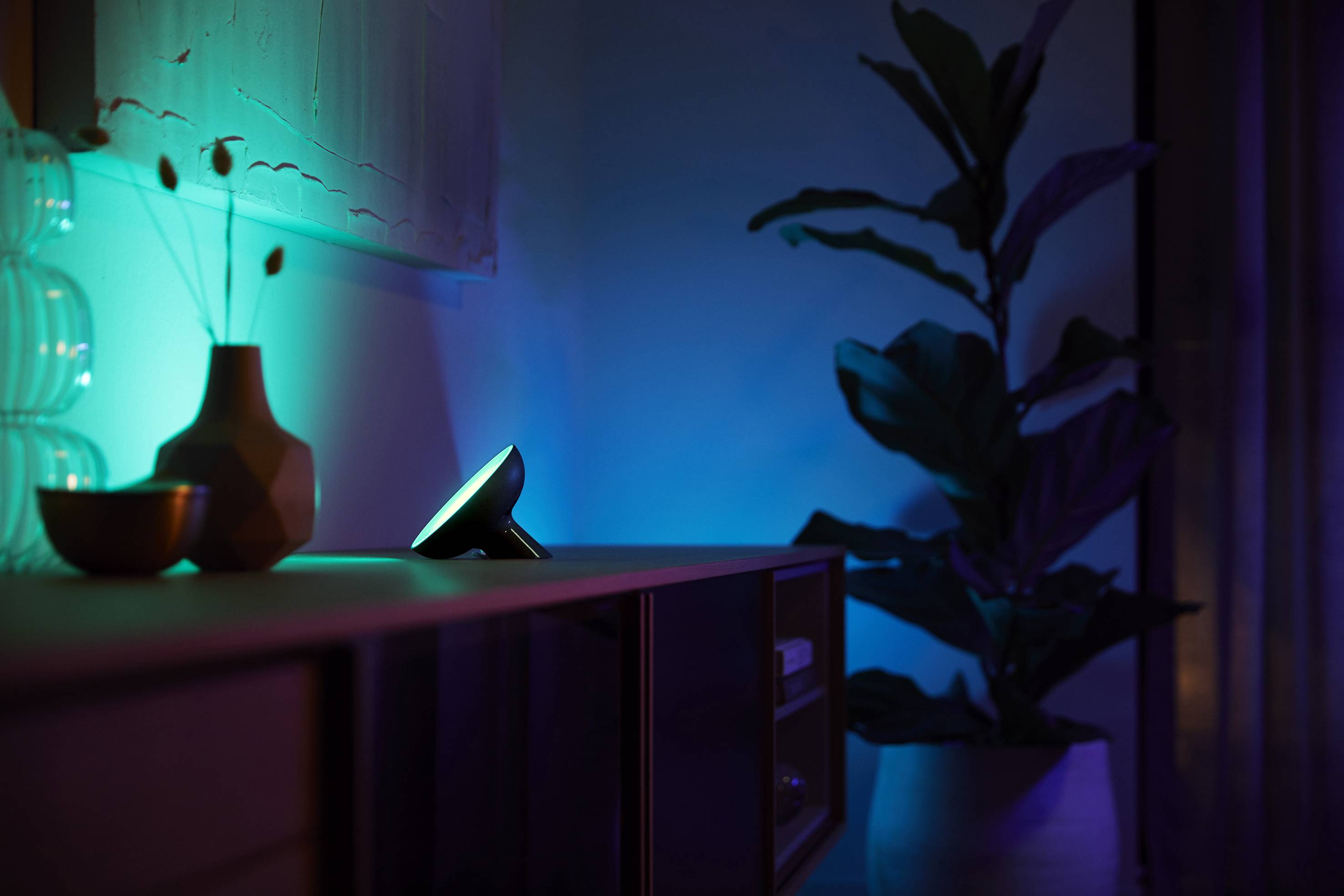 Ein Wohnzimmer im Dunkeln mit einem grünen Licht, das ein Regal beleuchtet. Rechts im Bild steht eine große Pflanze.