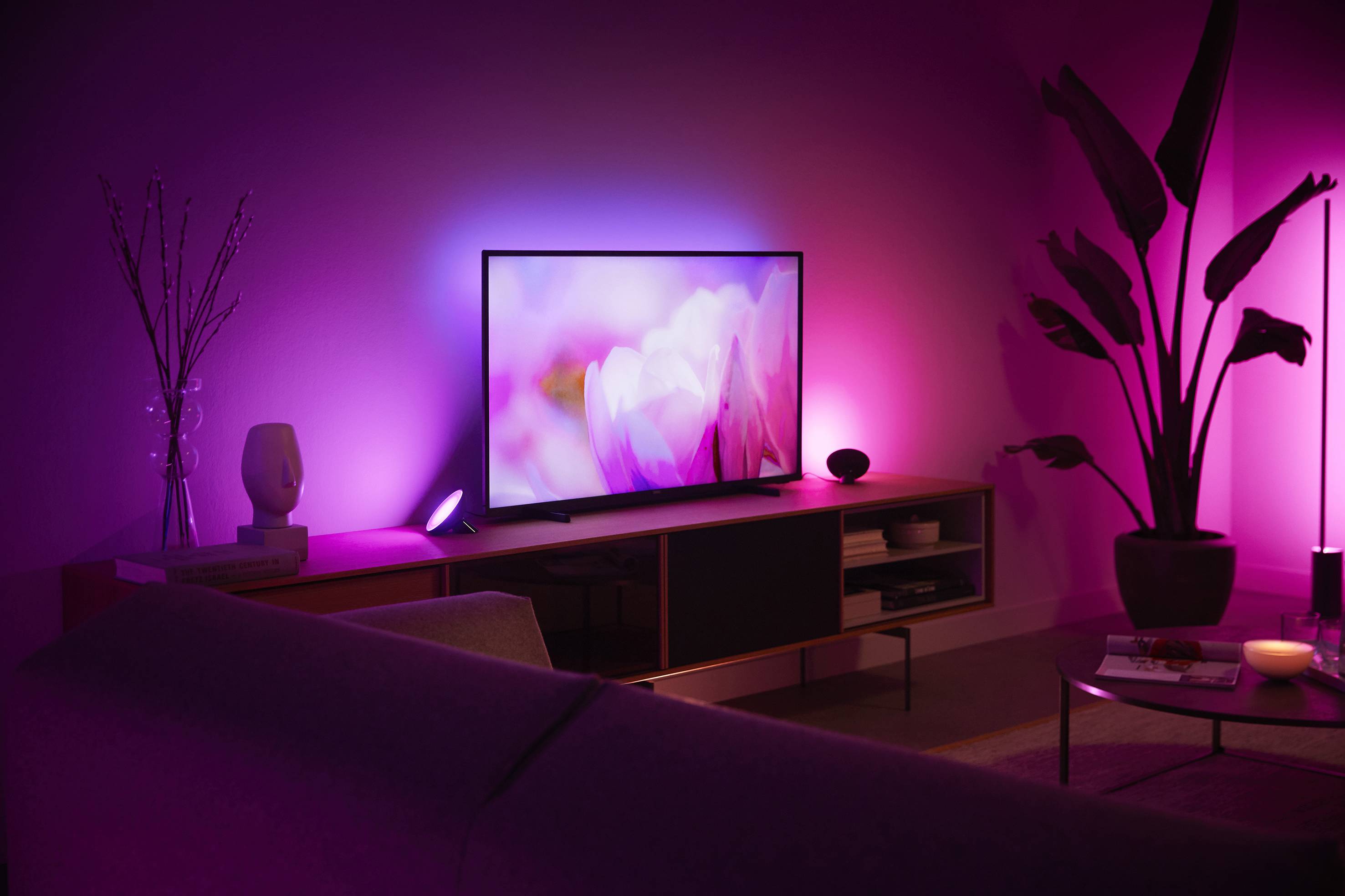 Wohnzimmer mit pinker Beleuchtung. Ein Fernseher zeigt ein Bild von Blumen. Pflanzen und Dekorationen ergänzen die moderne Einrichtung.