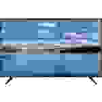 JTC S55U55199MC LED-TV 139cm 54.6 Zoll EEK G (A - G) DVB-T2, DVB-C, DVB-S, UHD, Smart TV, WLAN, CI+ Schwarz