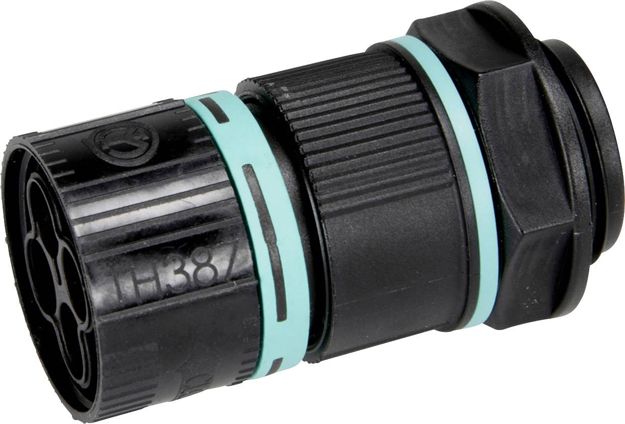 Adels-Contact 24482 Rundsteckverbinder Stecker, Einbau Gesamtpolzahl: 2 200St.