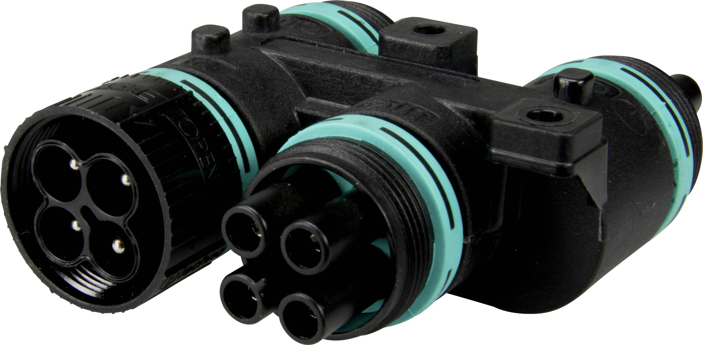 Adels-Contact 25538 Rundstecker Verteiler Stecker, gerade Gesamtpolzahl: 3 + PE 50St.