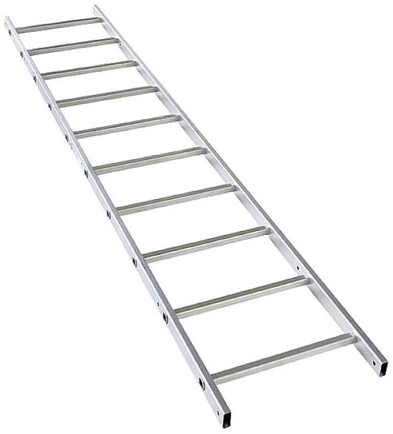 Eine silberne Anstellleiter mit 11 Sprossen aus Aluminium, die nach hinten geneigt dargestellt wird, geeignet für Bau- oder Heimprojekte.