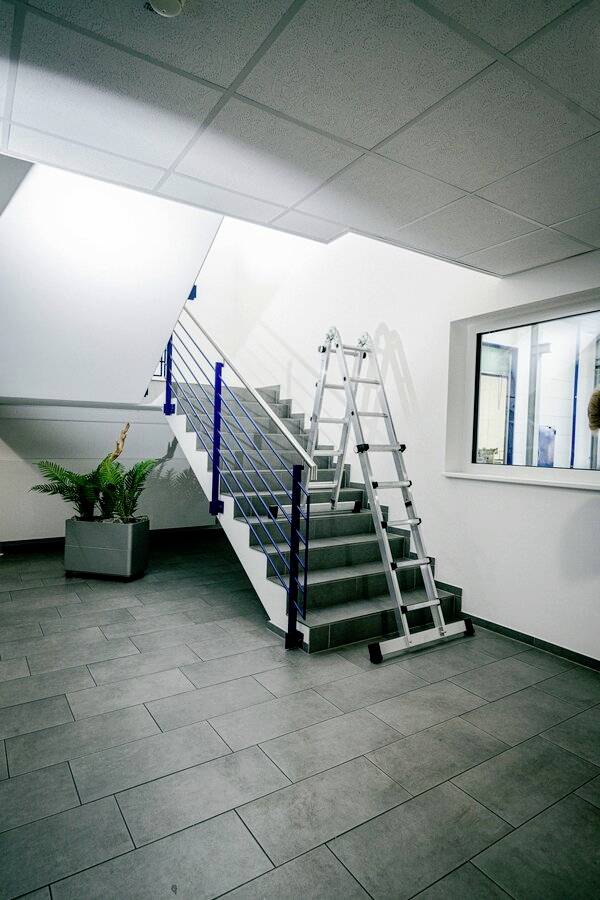 Treppenhaus mit einer aufgerichteten Leiter an der Treppe, Topfpflanze links im Hintergrund, Fenster rechts, Deckenbeleuchtung oben.