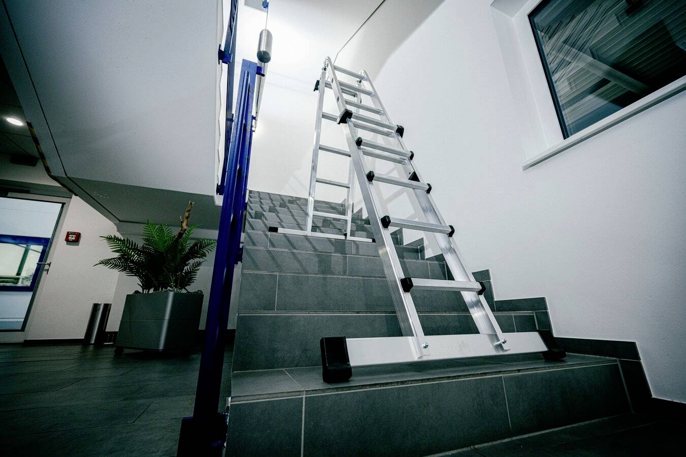 Eine Leiter steht schräg auf einer Treppe in einem modernen Gebäude, mit grauen Fliesen und einer Pflanze links im Hintergrund.