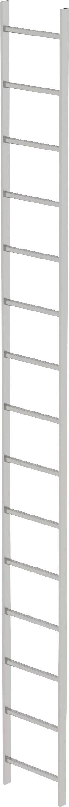 Ein Bild einer schmalen, vertikalen Metallleiter mit mehreren Sprossen.