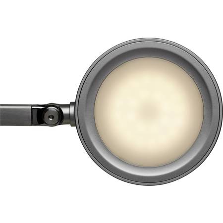 Maul tischlampe Maul tischlampe