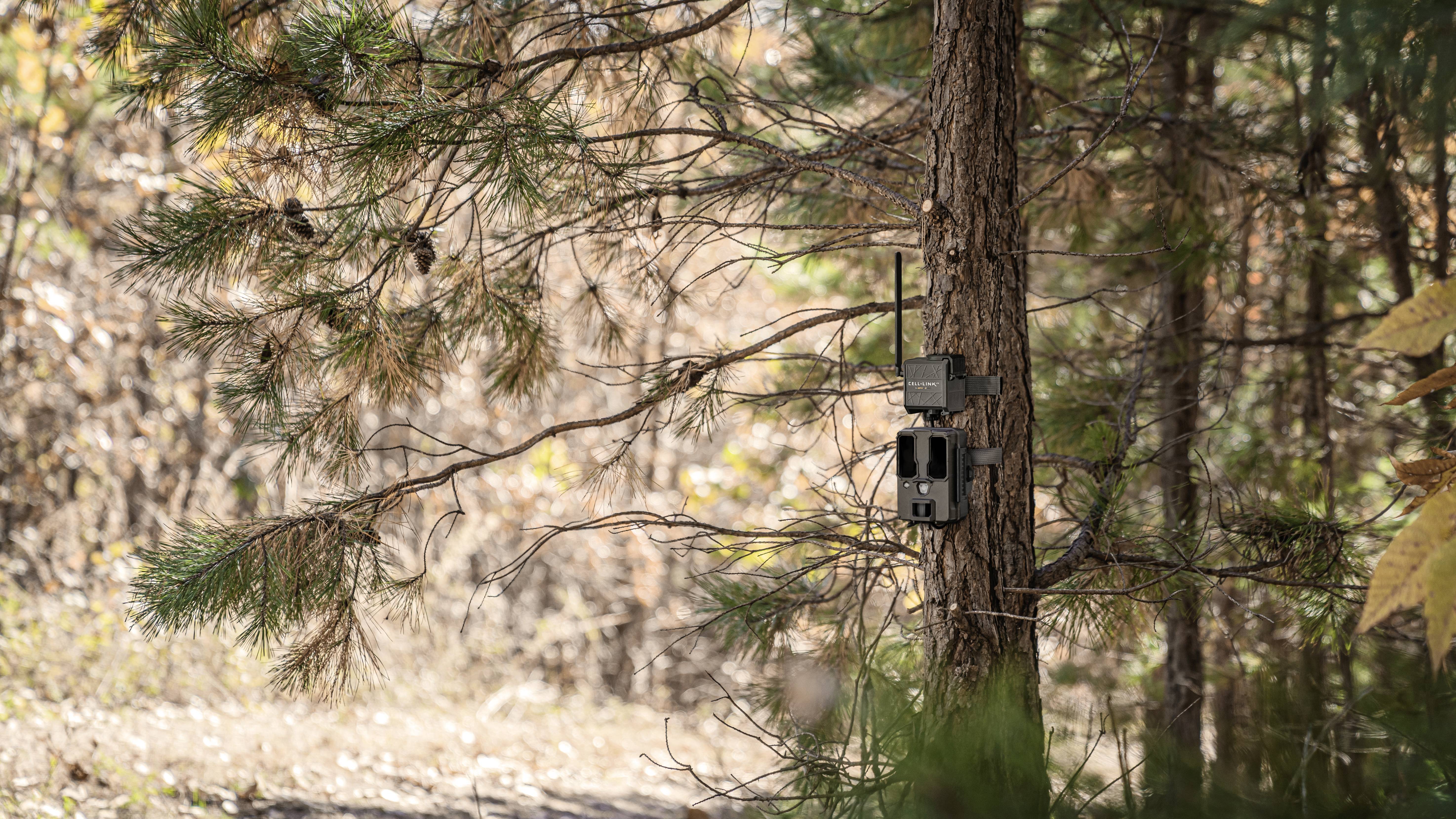Spypoint Cell-Link 32077 Nachrüstmodul zur Fotoübertragung