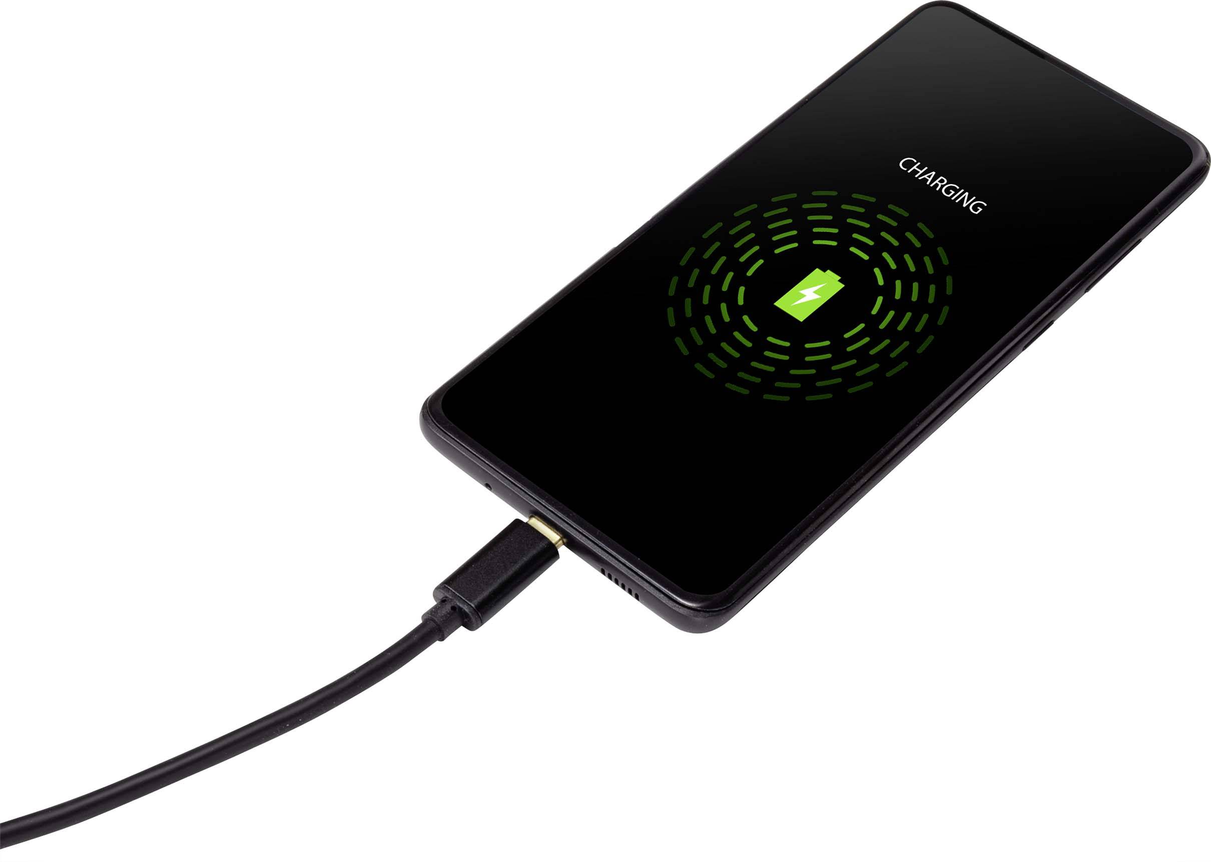 Renkforce USB-Kabel USB 2.0 USB-A Stecker, USB-C® Stecker 1.80m Schwarz beidseitig verwendbarer Stecker RF-4547682