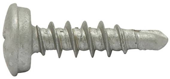 SWG 211652525 Nummernschild-Schrauben 5mm 25mm Kreuzschlitz Phillips Stahl verzinkt 100St.