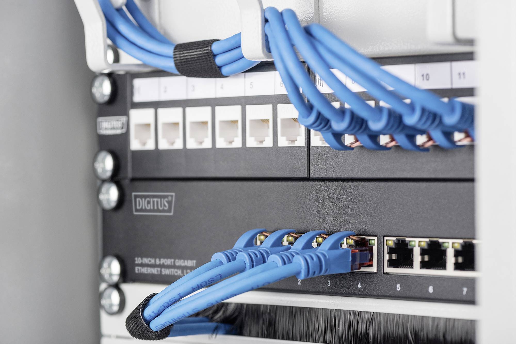 Netzwerk-Switch im Serverraum mit acht eingesteckten blauen Ethernet-Kabeln und nummerierten Ports.