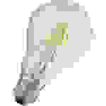 OSRAM 4058075211322 LED CEE F (A - G) E27 forme de poire 4.8 W = 40 W blanc chaud (Ø x L) 60 mm x 105 mm 1 pc(s)