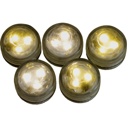 Hellum 523072 LED-Teelichter 6er Set Transparent Warmweiß (Ø x H) 2.9 cm x 2.3 cm