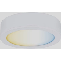 Paulmann CC Disc Unterbauleuchte 2.10W Warmweiß Weiß Paulmann CC Disc Unterbauleuchte 2.10W Warmweiß Weiß