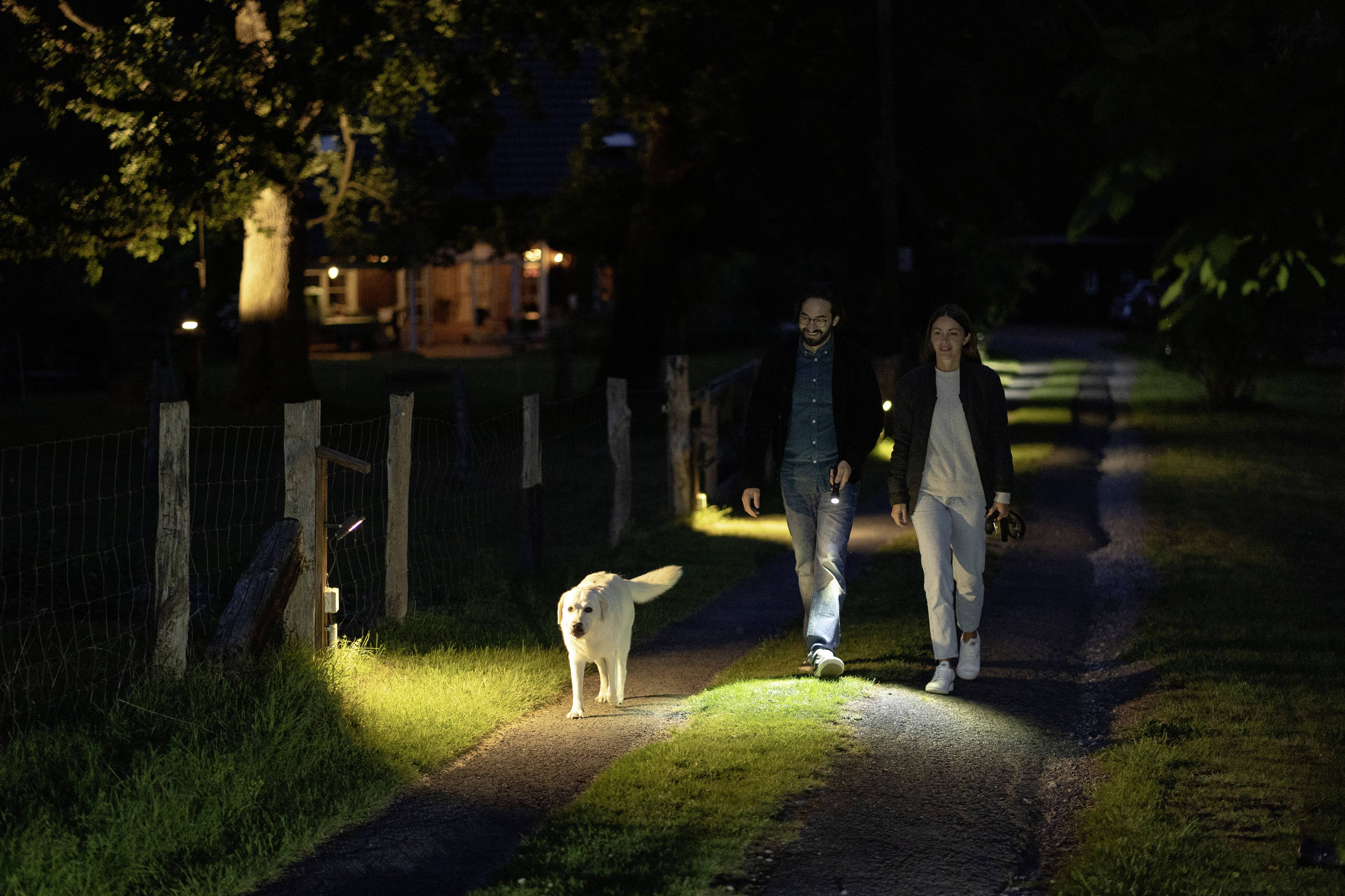 Ein Paar spaziert nachts mit einem Hund auf einem beleuchteten Waldweg. Links ist ein beleuchtetes Haus im Hintergrund zu sehen.