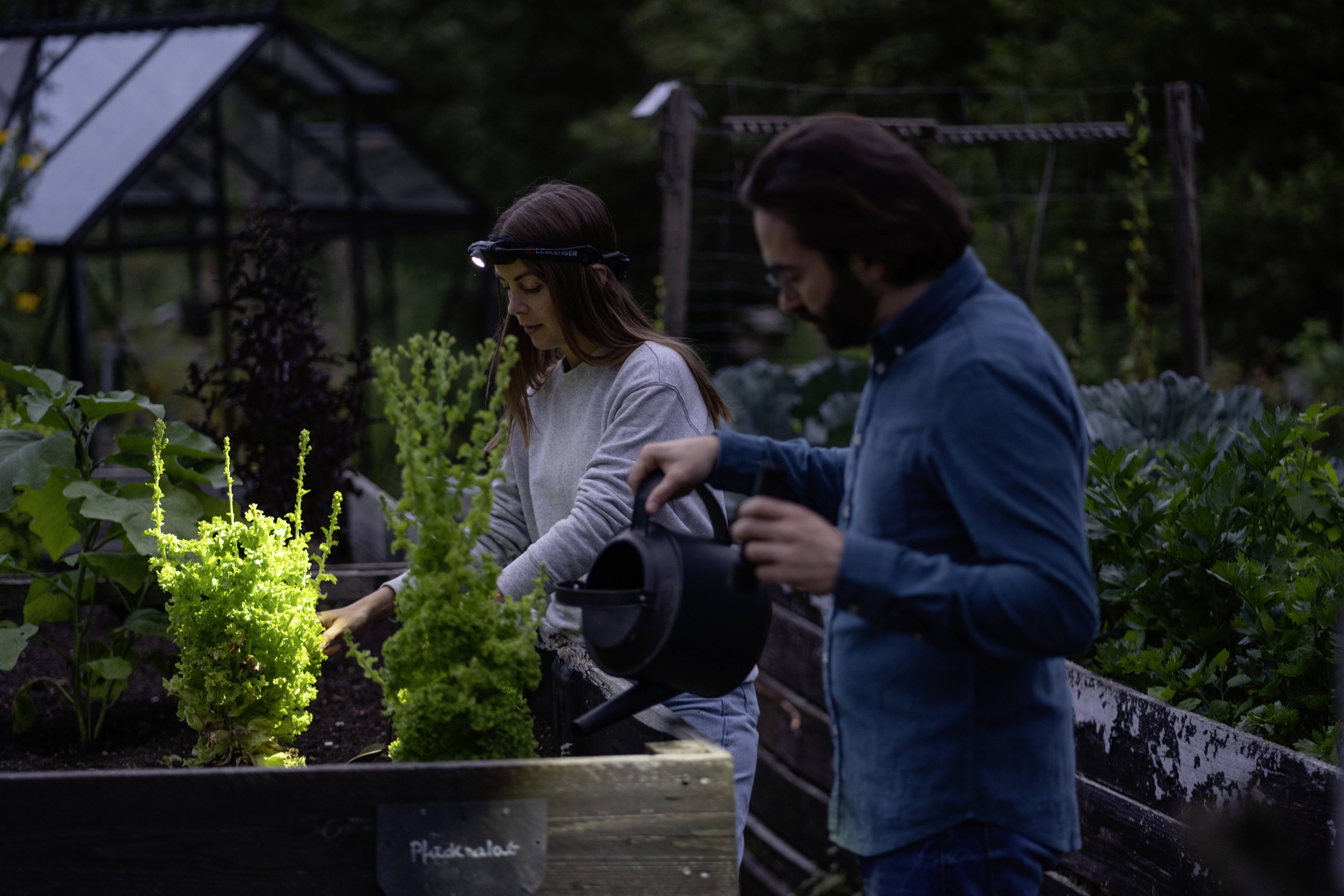 Ledlenser H5R Core LED Stirnlampe akkubetrieben 300lm 50h 502121